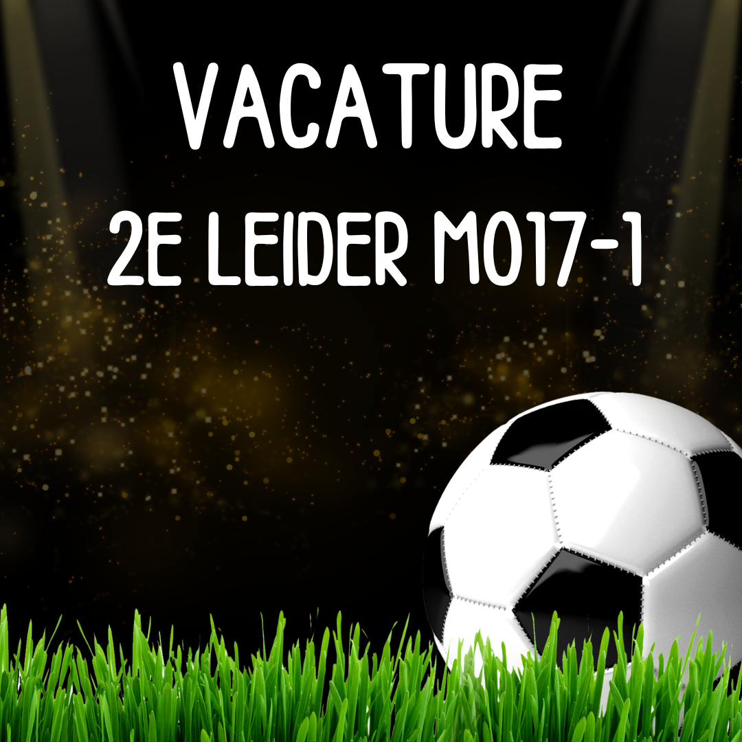 Vacature 2e leider MO17-1